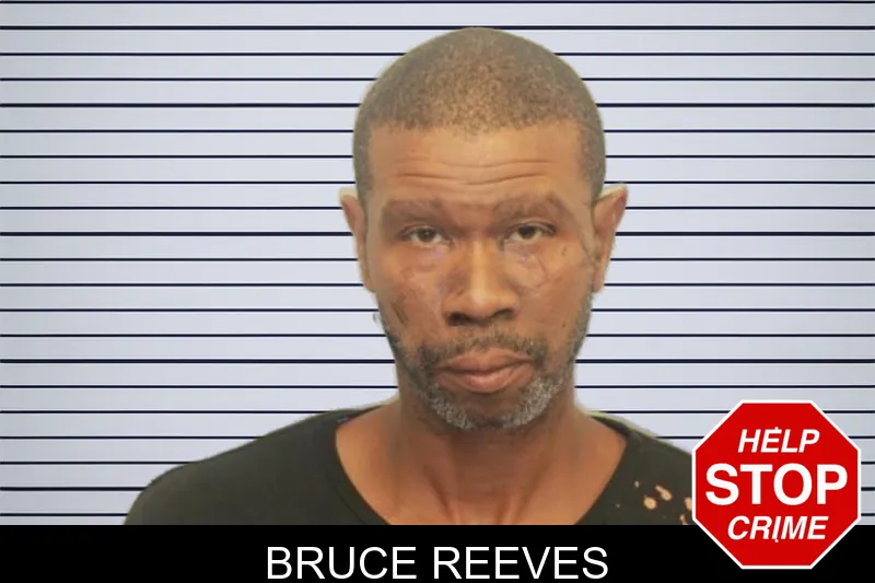 Bruce Reeves mugshot – Chatham County , Georgia Bruce Reeves mugshot