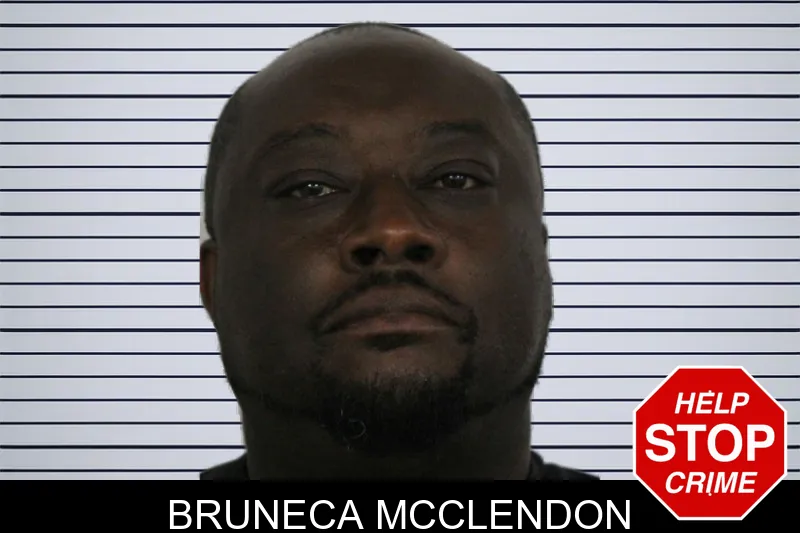 Bruneca McClendon mugshot