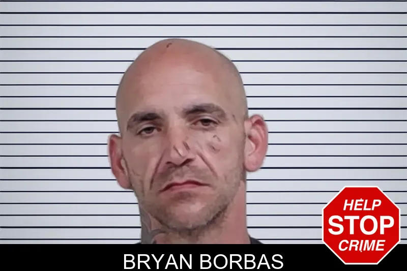Bryan Borbas mugshot