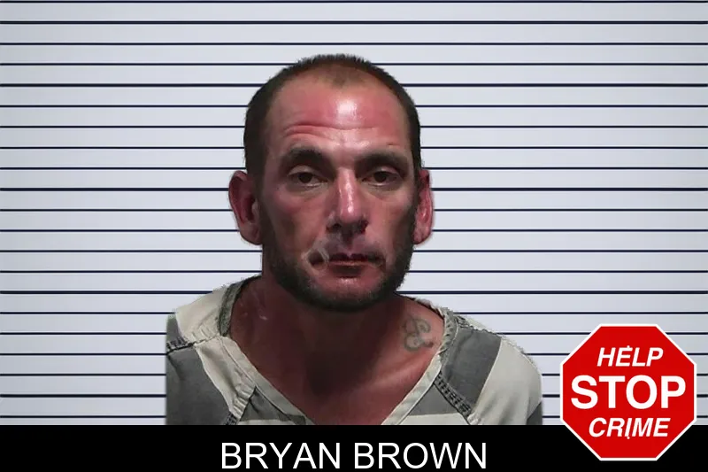 Bryan Brown mugshot