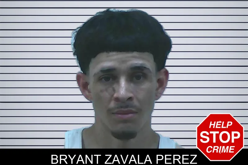 Bryant Zavala Perez mugshot