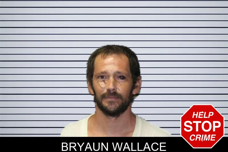 Bryaun Wallace mugshot