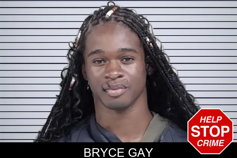 Bryce Gay mugshot