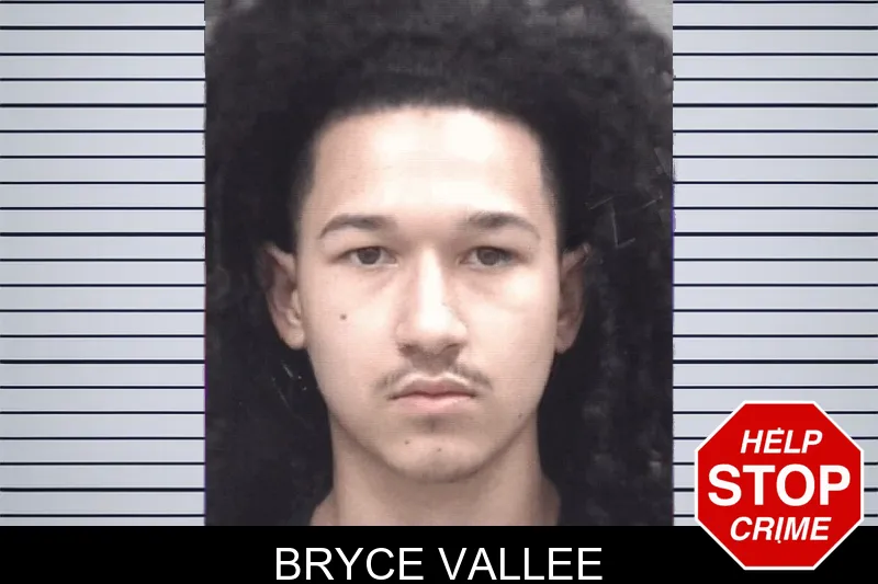 Bryce Vallee mugshot