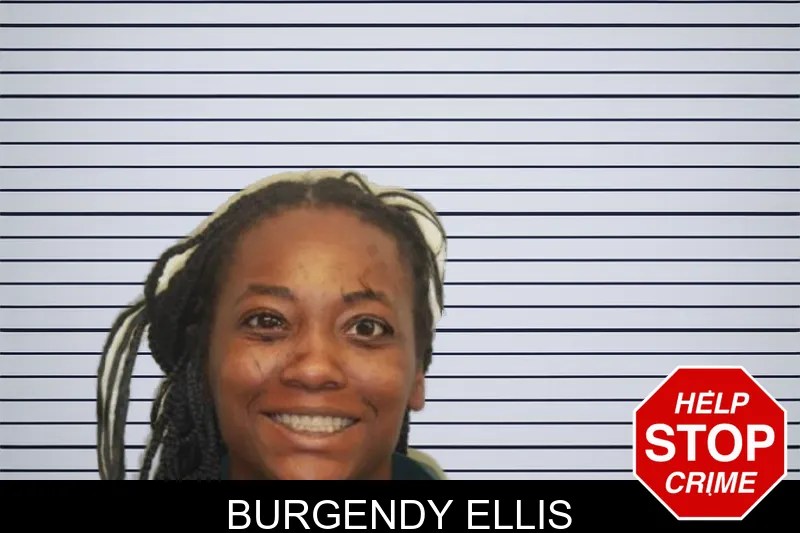 Burgendy Ellis mugshot