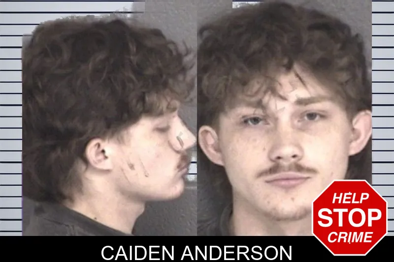 Caiden Anderson mugshot