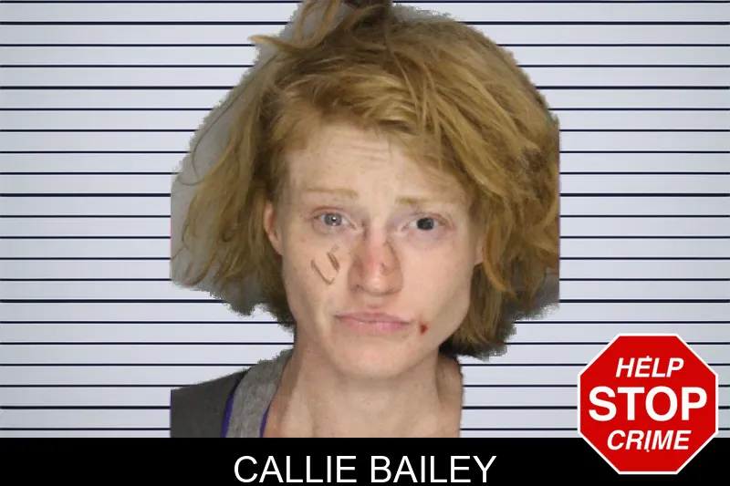 Callie Bailey mugshot – Cobb County , Georgia Callie Bailey mugshot