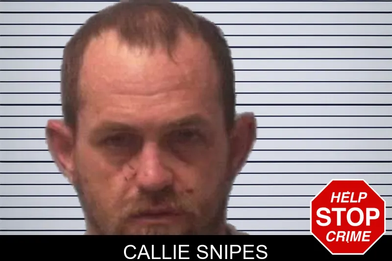 Callie Snipes mugshot – Franklin County , Georgia Callie Snipes mugshot