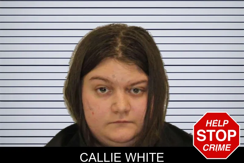 Callie White mugshot
