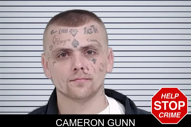 Cameron Gunn mugshot