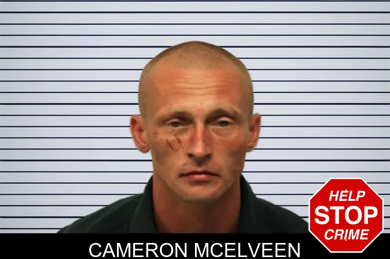 Cameron McElveen mugshot