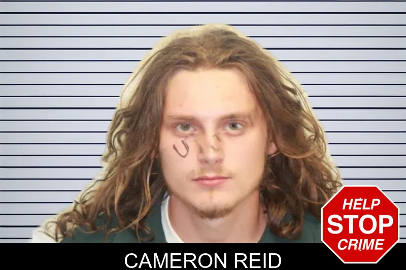 Cameron Reid mugshot