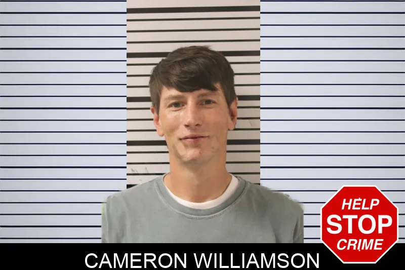 Cameron Williamson mugshot – Toombs County , Georgia Cameron Williamson mugshot