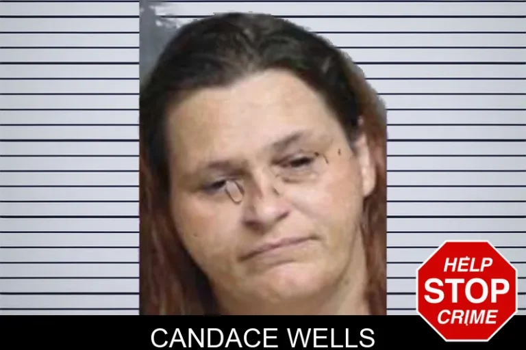 Candace Wells mugshot – Bacon County , Georgia Candace Wells