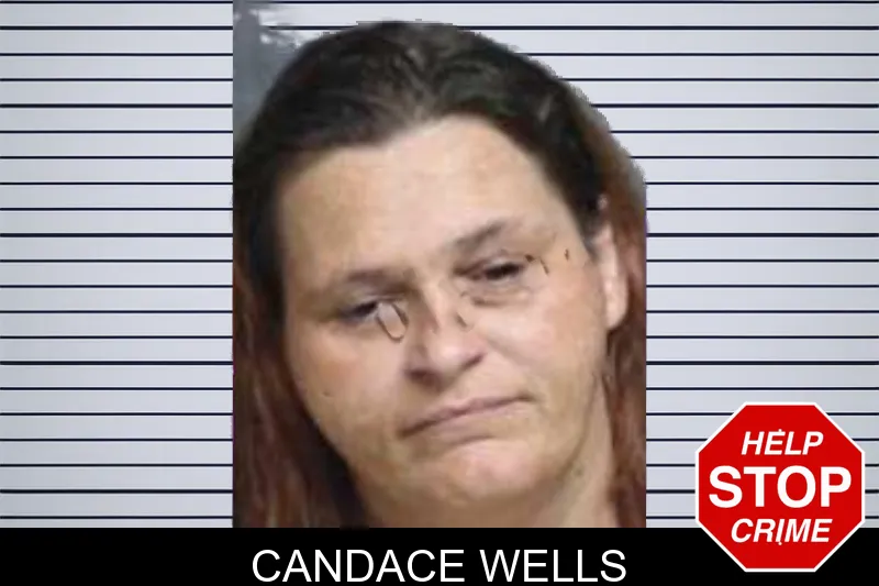 Candace Wells mugshot