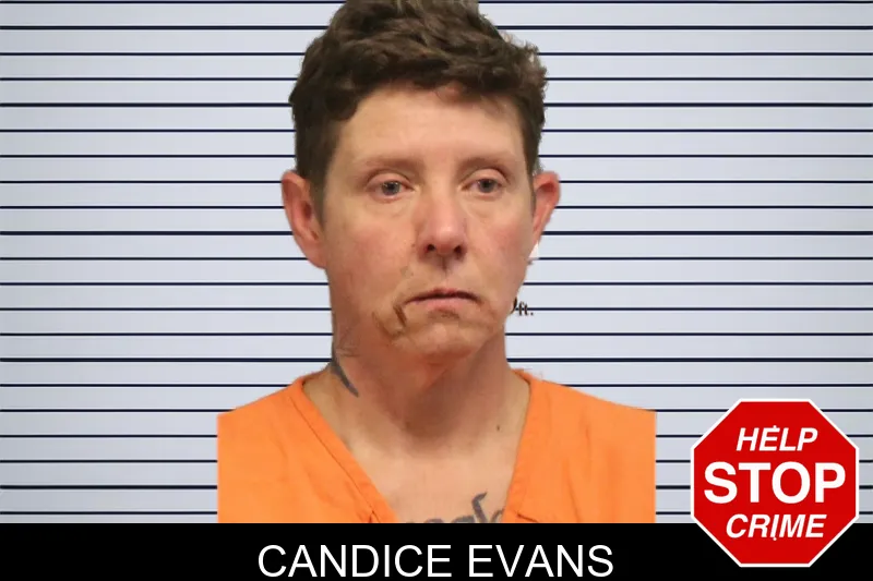 Candice Evans mugshot – Lumpkin County , Georgia Candice Evans mugshot