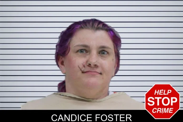 Candice Foster mugshot – Rabun County , Georgia Candice Foster