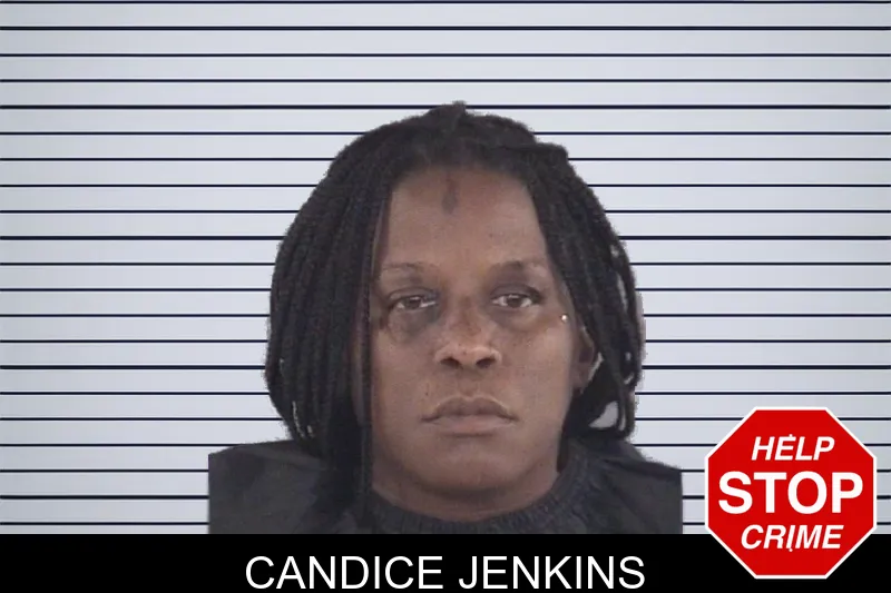 Candice Jenkins mugshot – Spalding County , Georgia Candice Jenkins mugshot