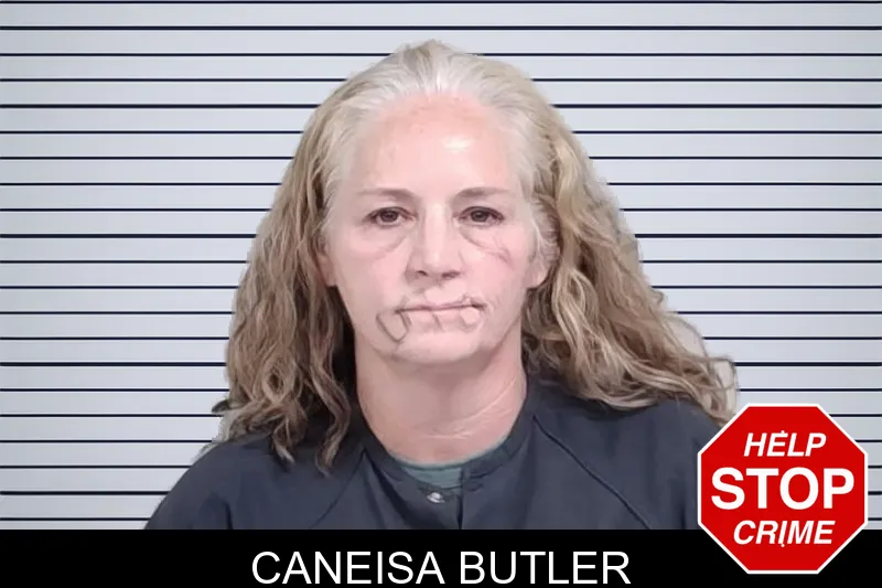 Caneisa Butler mugshot