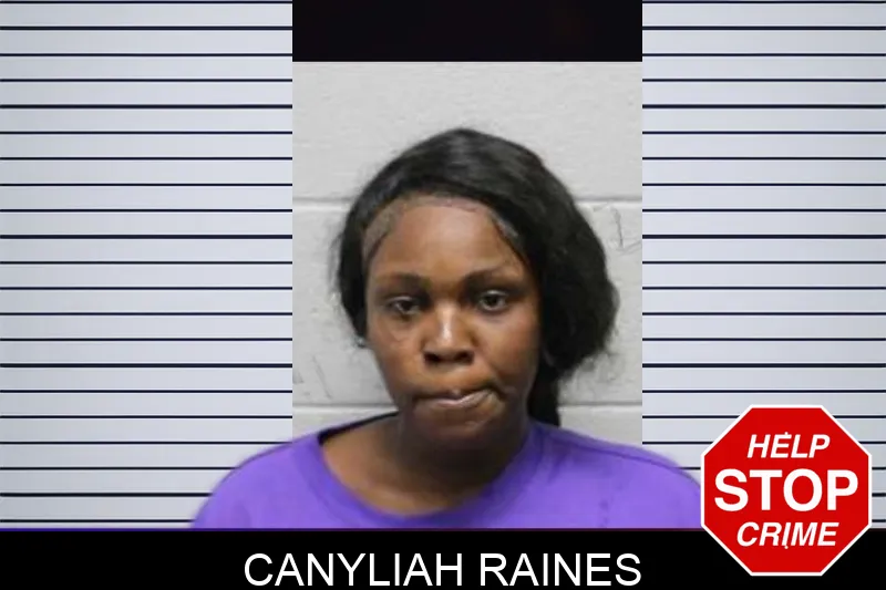 Canyliah Raines mugshot – Harris County , Georgia Canyliah Raines mugshot