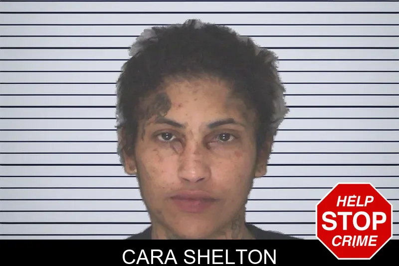 Cara Shelton mugshot – Douglas County , Georgia Cara Shelton mugshot