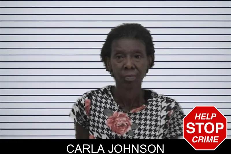 Carla Johnson mugshot