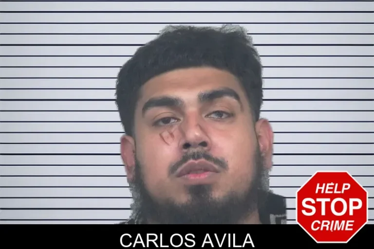 Carlos Avila mugshot – Gwinnett County , Georgia Carlos Avila