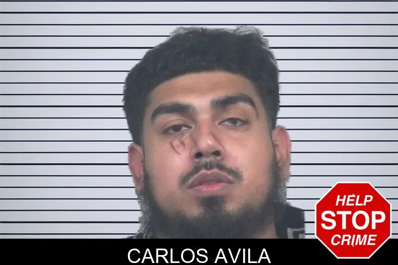 Carlos Avila mugshot