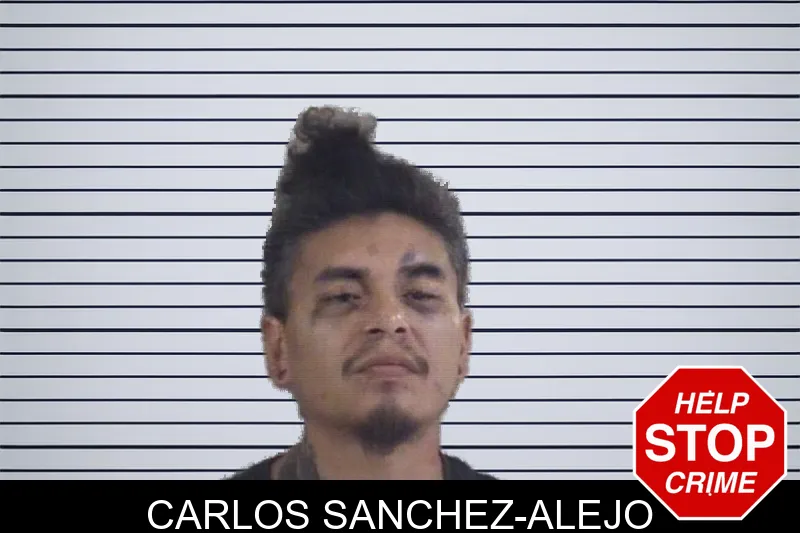 Carlos Sanchez-Alejo mugshot