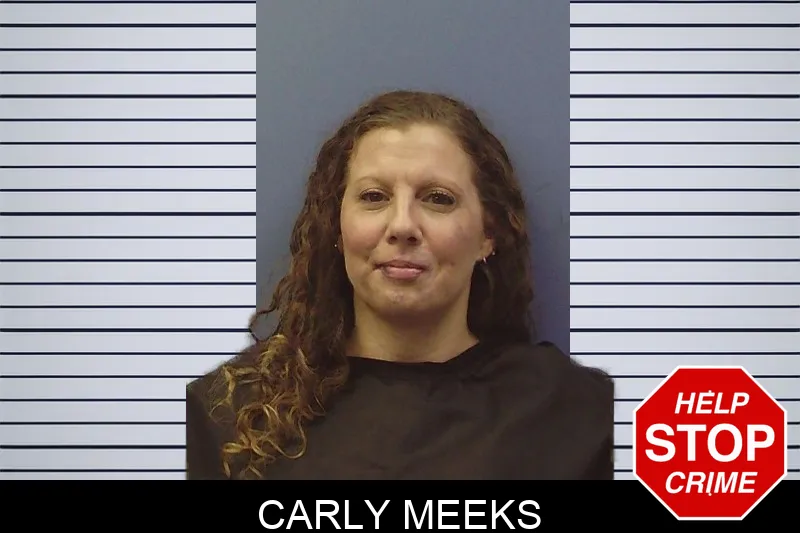 Carly Meeks mugshot