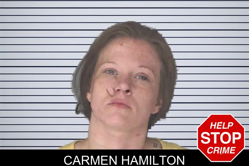Carmen Hamilton mugshot