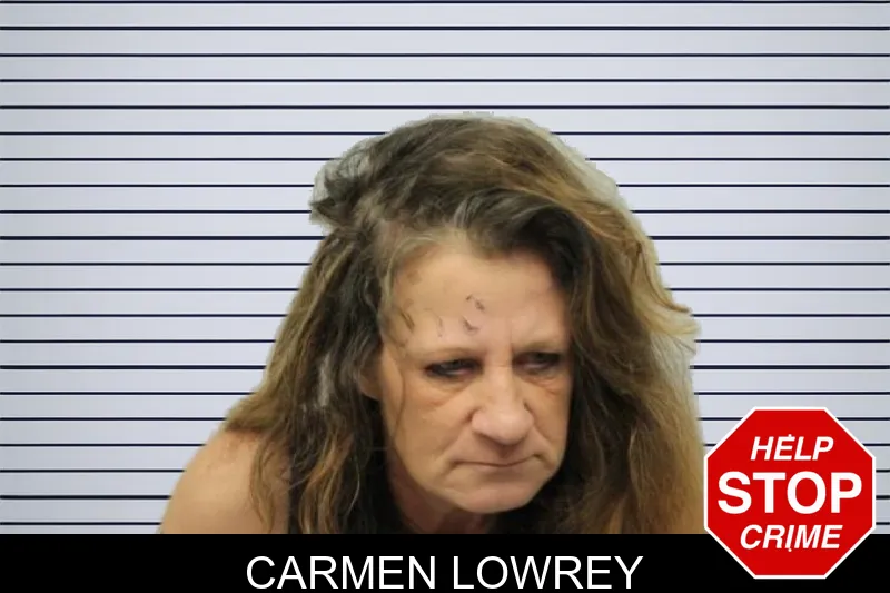 Carmen Lowrey mugshot – Chatham County , Georgia Carmen Lowrey mugshot