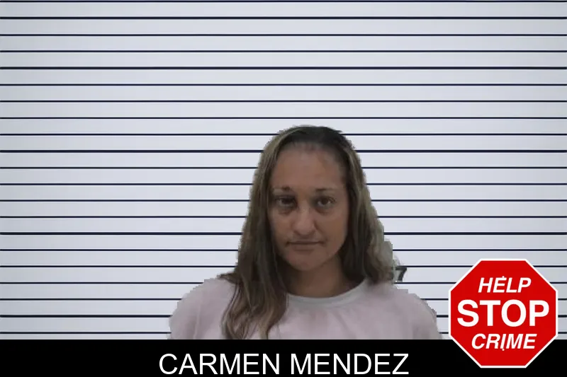 Carmen Mendez mugshot