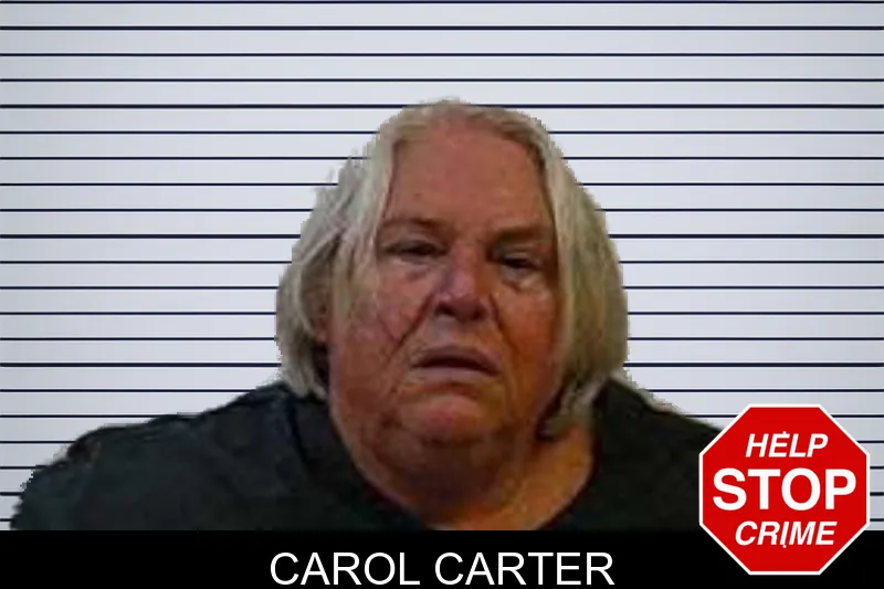 Carol Carter mugshot – Polk County , Georgia Carol Carter mugshot