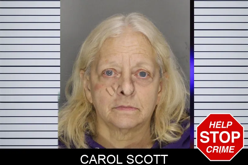 Carol Scott mugshot – Cobb County , Georgia Carol Scott mugshot