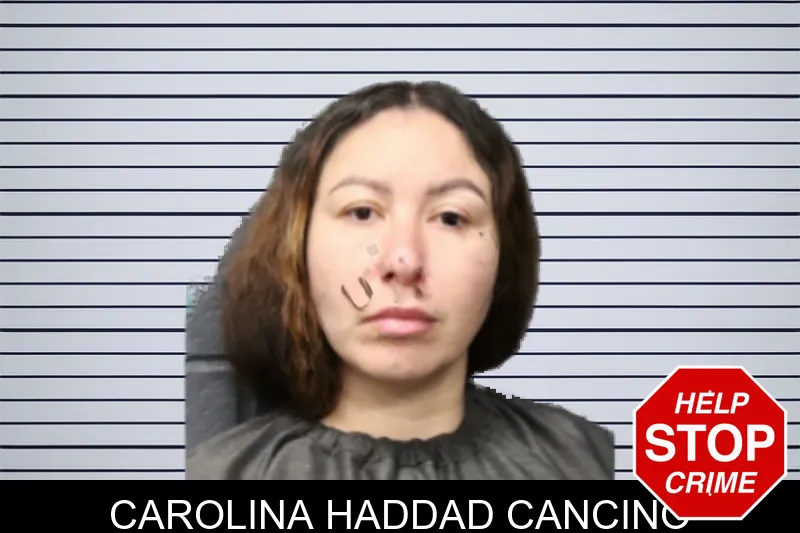 Carolina Haddad Cancino mugshot – Forsyth County , Georgia Carolina Haddad Cancino mugshot