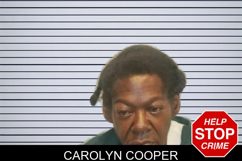 Carolyn Cooper mugshot – Chatham County , Georgia Carolyn Cooper mugshot