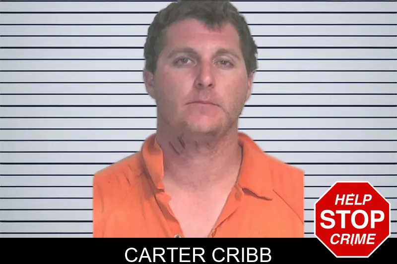 Carter Cribb mugshot