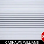 Cashawn Williams mugshot