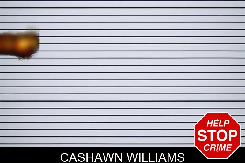 Cashawn Williams mugshot