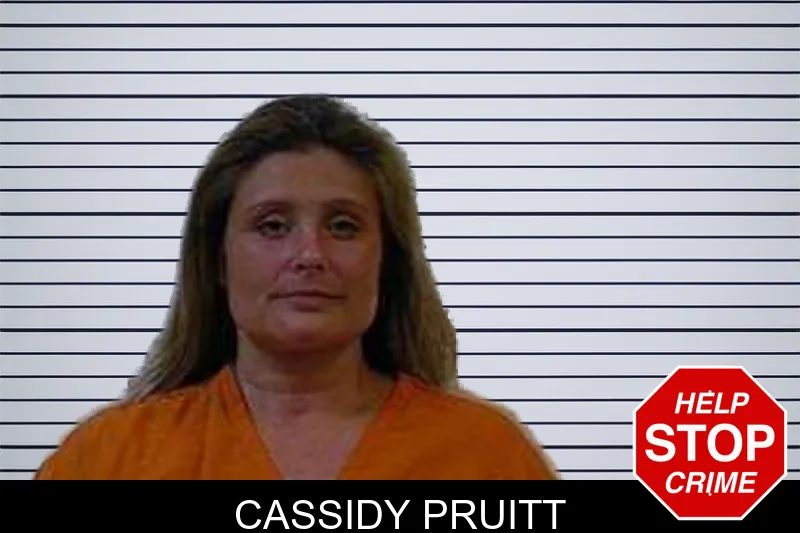 Cassidy Pruitt mugshot – Polk County , Georgia Cassidy Pruitt mugshot