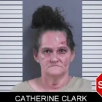 Catherine Clark mugshot – Gordon County , Georgia Catherine Clark mugshot
