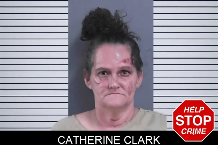 Catherine Clark mugshot – Gordon County , Georgia Catherine Clark