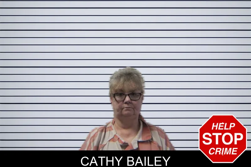 Cathy Bailey mugshot