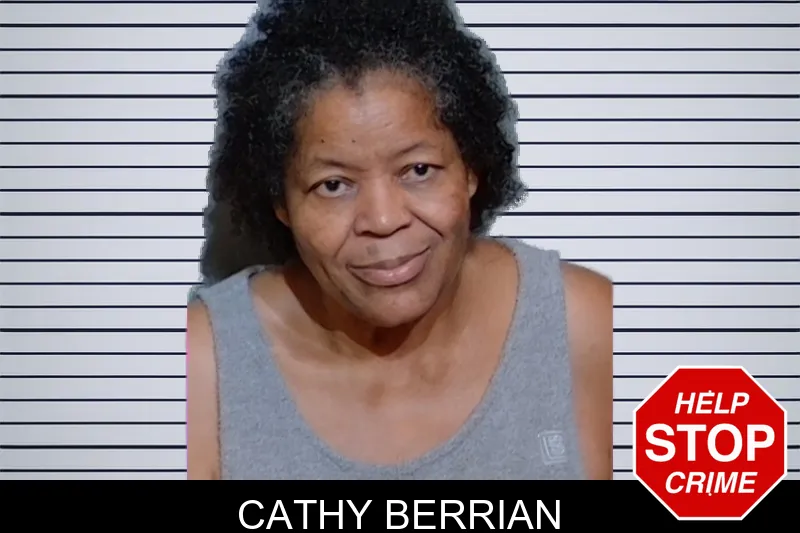 Cathy Berrian mugshot – Glynn County , Georgia Cathy Berrian mugshot