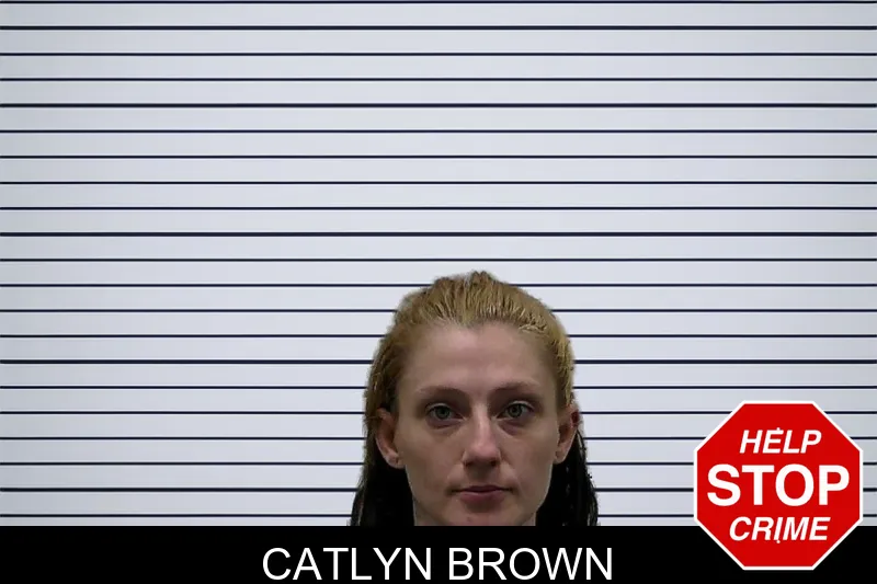 Catlyn Brown mugshot