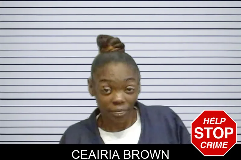 Ceairia Brown mugshot