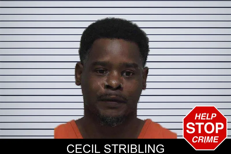 Cecil Stribling mugshot