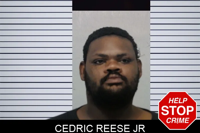 Cedric Reese Jr mugshot