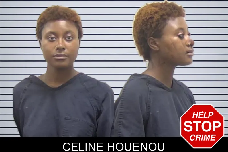 Celine Houenou mugshot – Clarke County , Georgia Celine Houenou mugshot